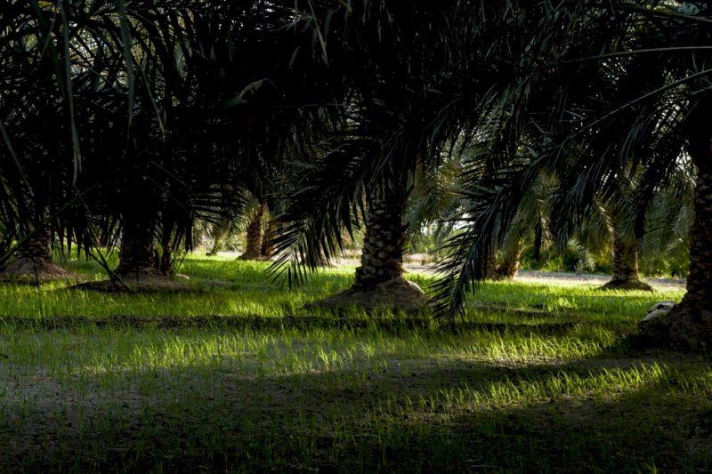 قلعه مهرستان ، قلعه تاریخی زابلی-pjFlZLnYUd