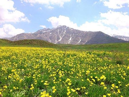 سفر به دره های سرسبز و دیدنی ایران-pmOCiq96Rl
