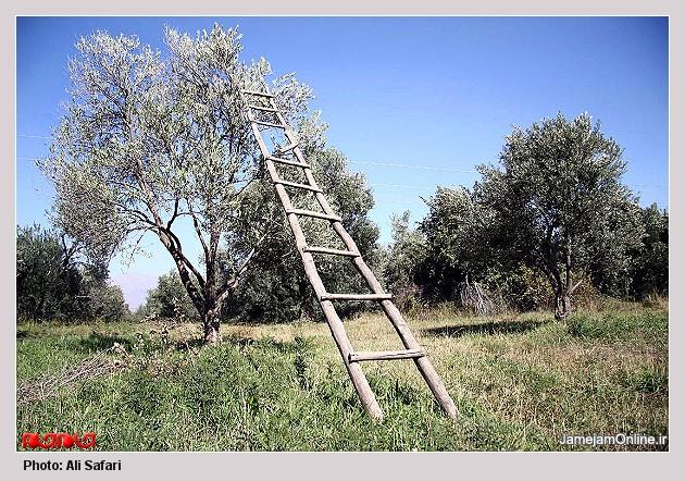روستای التین كش-px3nfKl1yv