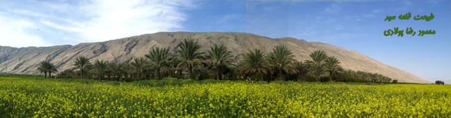 روستای قلعه سید-q2ruTBKGY0