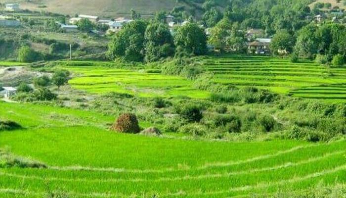 روستاهای نكا ( معرفی ۱۲۶ روستای نكا )-q9foGq33mp