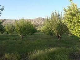 روستای تاوه-qAYRS97CnL