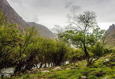 چشمه ناز-qDWgDCrJ6m