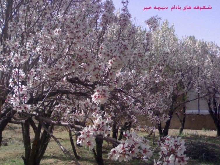 روستای دنیچه خیر-qGEIfsmg0w