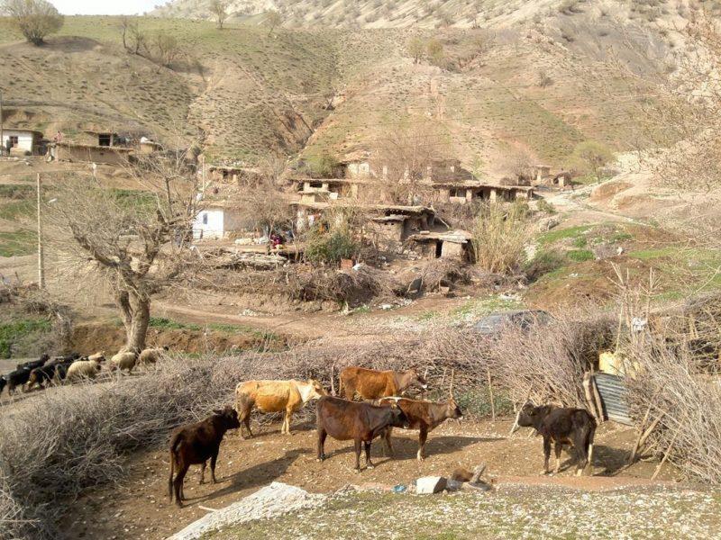 روستای رانكوه-qKUlRkQ0tB