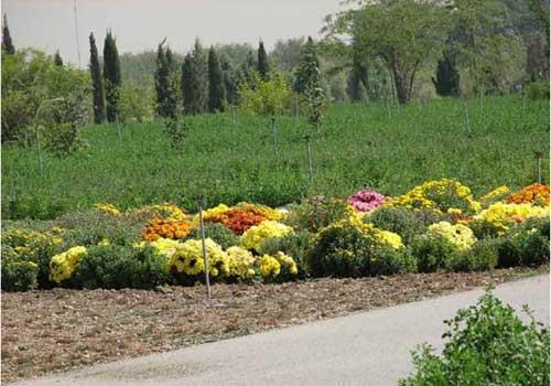 باغ گیاه شناسی ملی ایران-qM6pKdHiWn