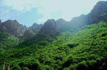 ماه عسل كجا برویم؟-qTTFH436Vv