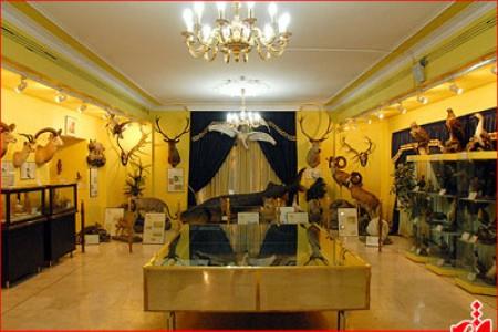 موزه طبیعت و حیات وحش دار آباد-qUxkajAaI2