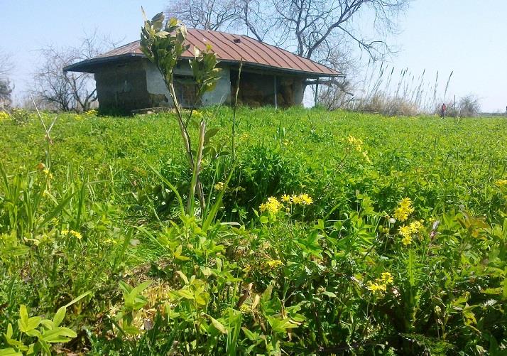 روستای گالشكلا-qYnUDoAibQ