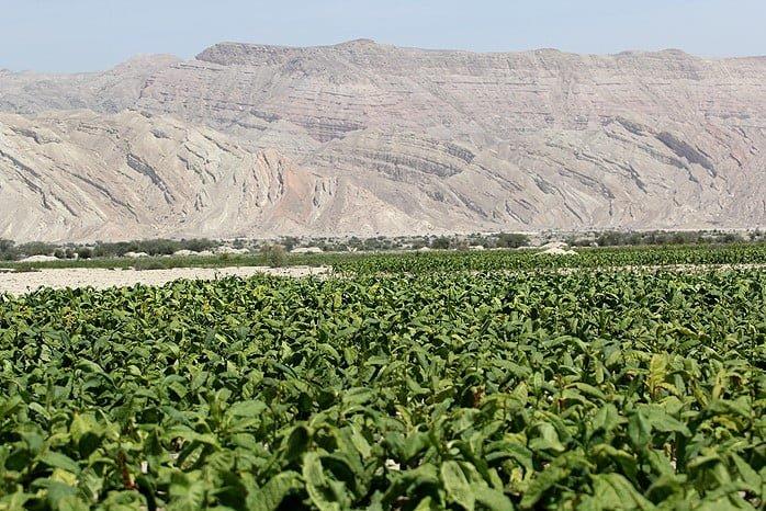 روستای گزیر، روستای دوستدار كتاب-qbskBe3bu5