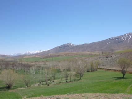 روستای اسدآباد شهركرد-qeetm1iyBj