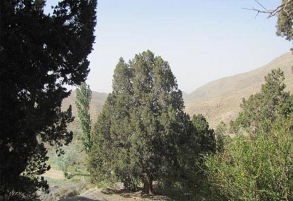 روستای سبلا-qoR0YuqRw3
