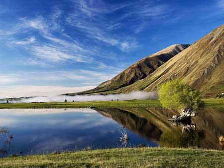 گشت و گذار در طبیعت وحشی نیوزیلند-qpgHUqLxgn