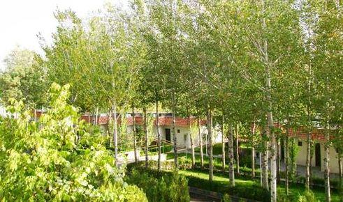 مهمانسرای جهانگردی زنجان-qzblDwm3cO