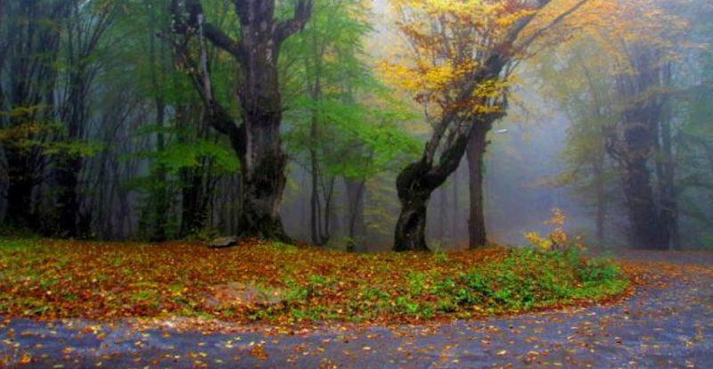 زیباترین جاده های ایران را می شناسید ؟-r5E46vPtfD