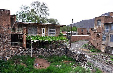 روستای طامه-r7ngOnjhNC