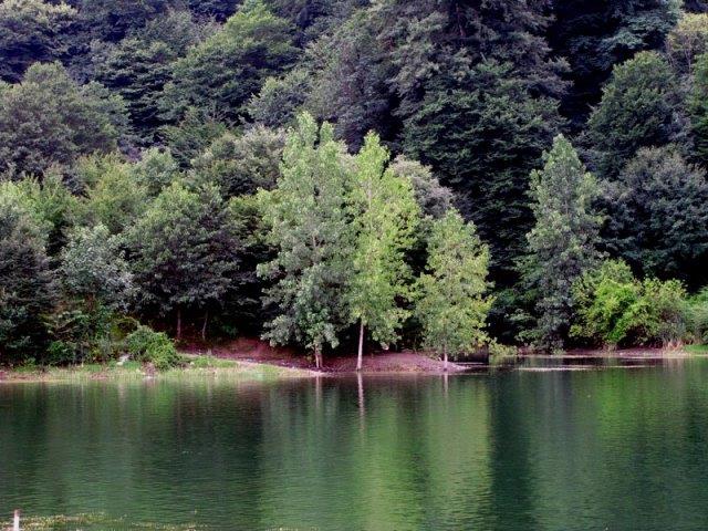 دریاچه الیمالات-rAPMiqeDZM