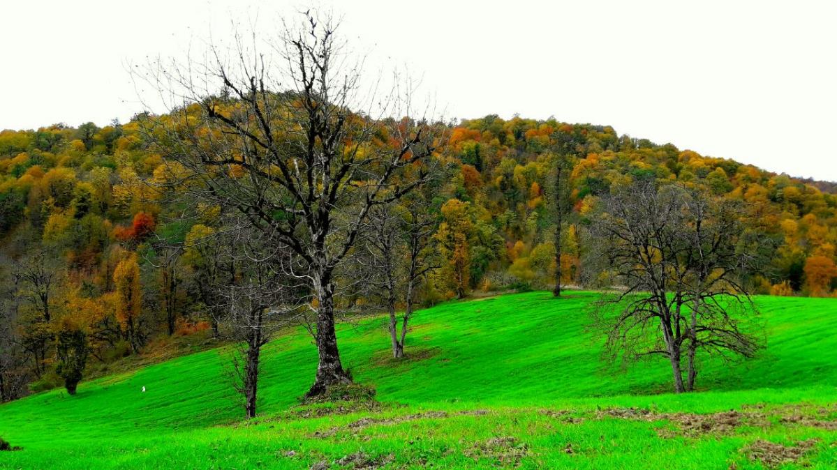 روستاهای نكا ( معرفی ۱۲۶ روستای نكا )-rCMNHaS2mU