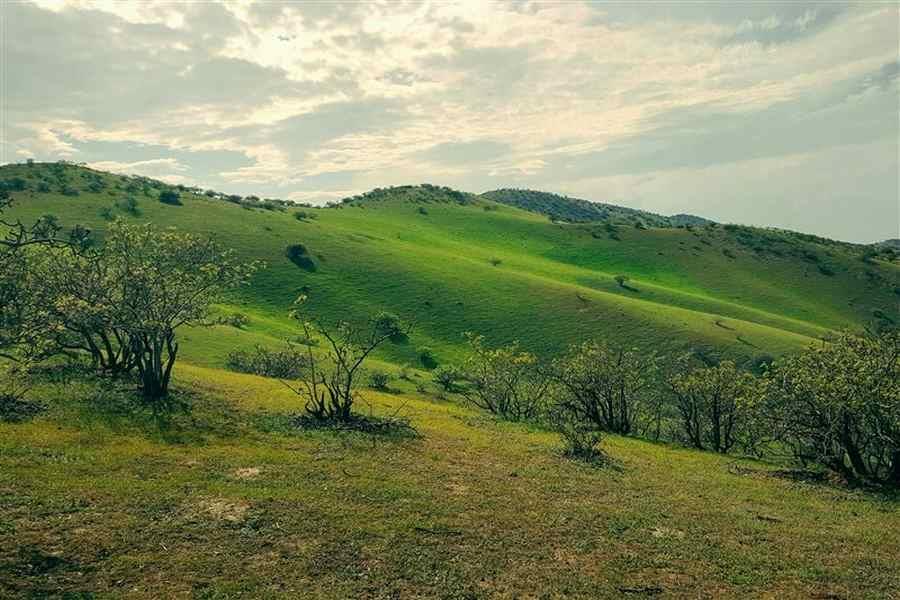 روستای چهچهه كلات ، بزرگترین قطب تولید پسته-rQIqEeC5QO