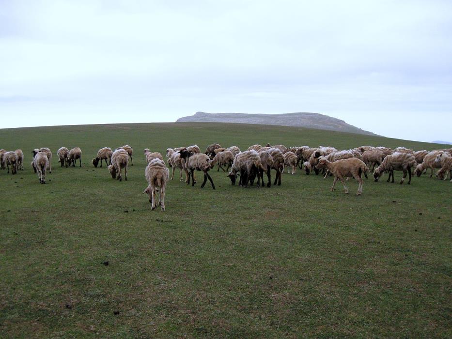 روستاهای تالش ( معرفی ۳۱۳ روستای تالش )-rSB5ybucXJ