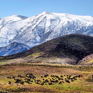 روستای خاكینه-rTRkpkgQI2