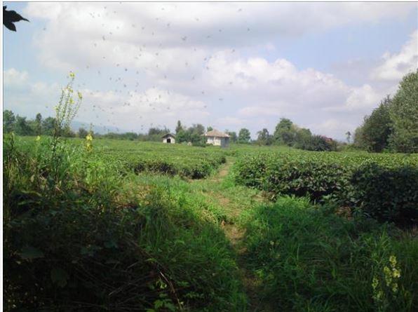 روستای لشكاجان-rWsx3RZgPY