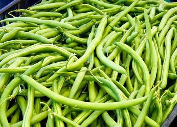 طرز تهیه ی انواع لوبیاپلو در ایران-rqAVRMHbsO