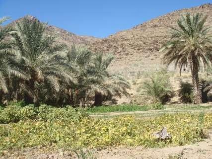 منطقه گردشگری گرگان نیكشهر-s6UVv1cvno