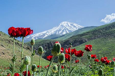 در فصل زیبای پاییز به كجا سفر كنیم؟-sCdanYyOl5