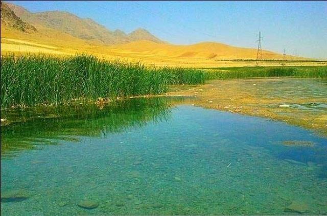 شیرین سو-sHcVimhNut