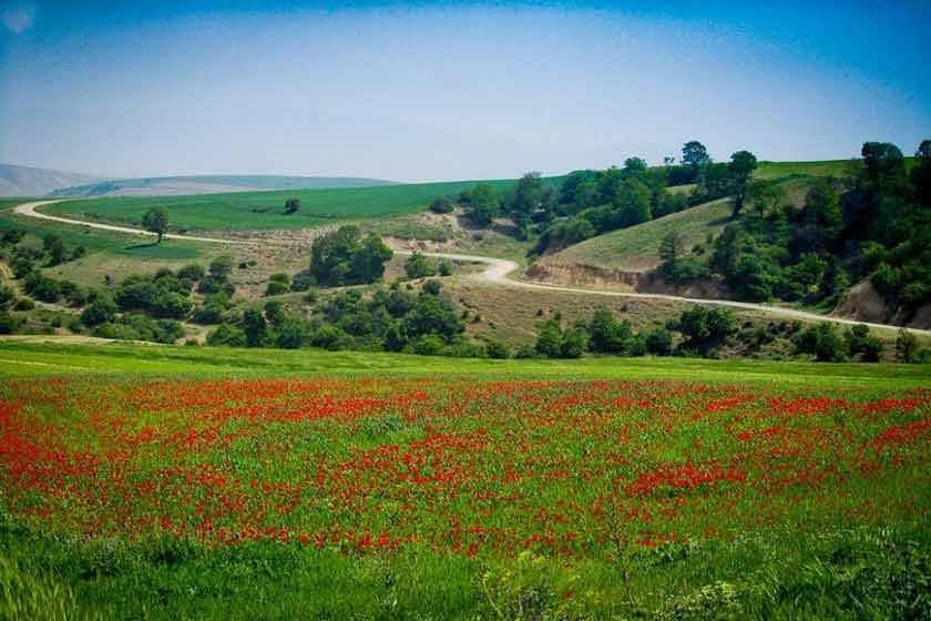 میامی ایران ، سرزمین كاروانسراها و دشتهای پرگل-sKaNSct3o7