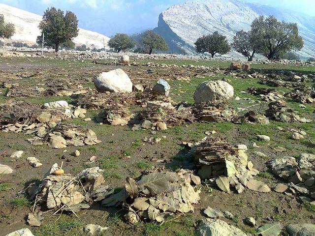 روستای كناره-sLV1wkz85A
