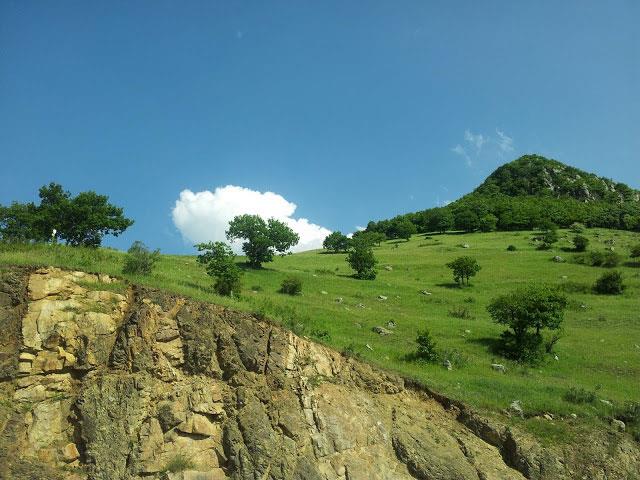 دره جنگلی مكیدی ( مكیدی دره سی )-sOCQtNXkxx