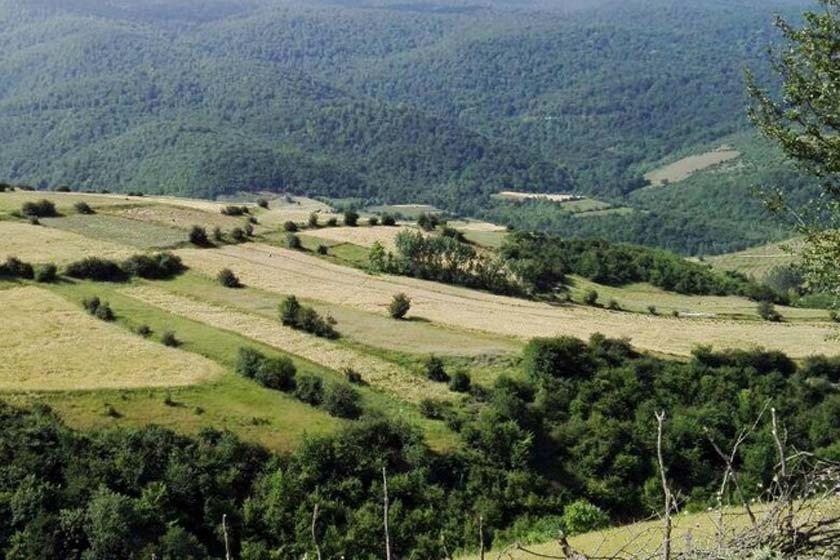 روستای كچپ‌ محله نكا-sUAWVIVKaS