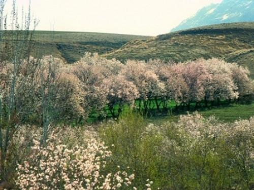 حاشیه رودخانه زاینده رود-sawxNAoNXC