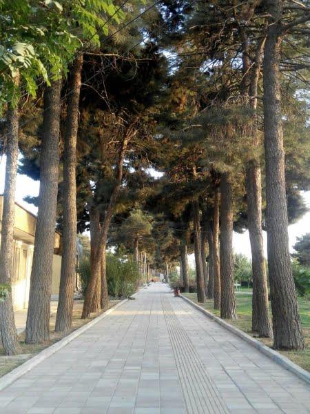 بوستان شهدای یافت آباد-sd0nh3QXyq