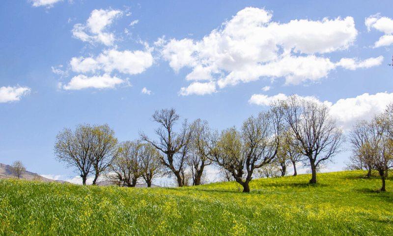روستاهای كیار ( معرفی ۵۳ روستای كیار )-sfdpa3Ka9d