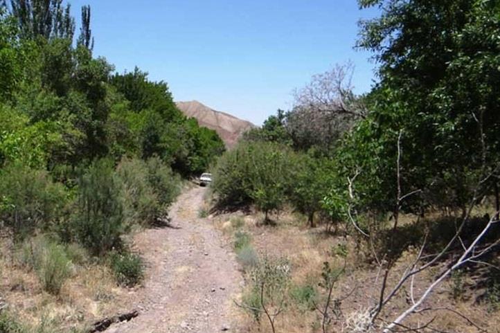 روستای مسینان-sflNi2ygst