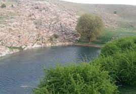 تنگه هشت بید-sg8z4vPwNq