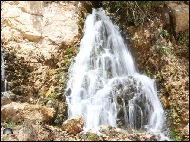 تیگران-siiCXDXWXP