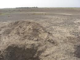 محوطه باستانی تپه مسی-spPpHWURNa