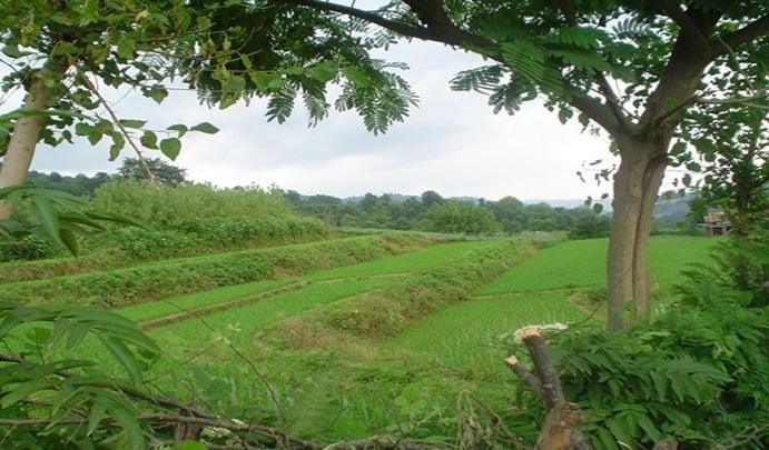روستای سقندیكلا-sryhYSzffe