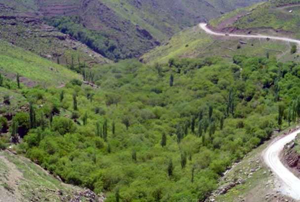 روستای دزآور-sw4eipzG1j