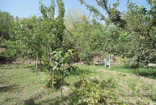 روستای سنو گناباد-t3K4ogeTib