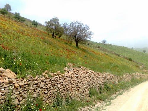 روستای بله ای-t3KW2t6Qkw