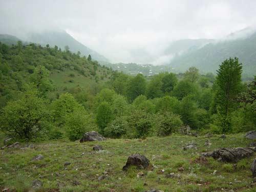 منطقه شكار ممنوع چلچلی گرگان استان گلستان, گرگان-t4oFi11aXF