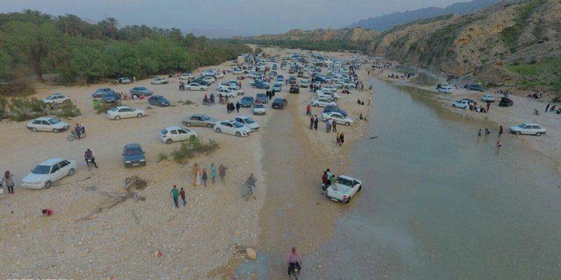 جنگل گلوبردكان جم استان بوشهر, جم-t7tlOC3cm6