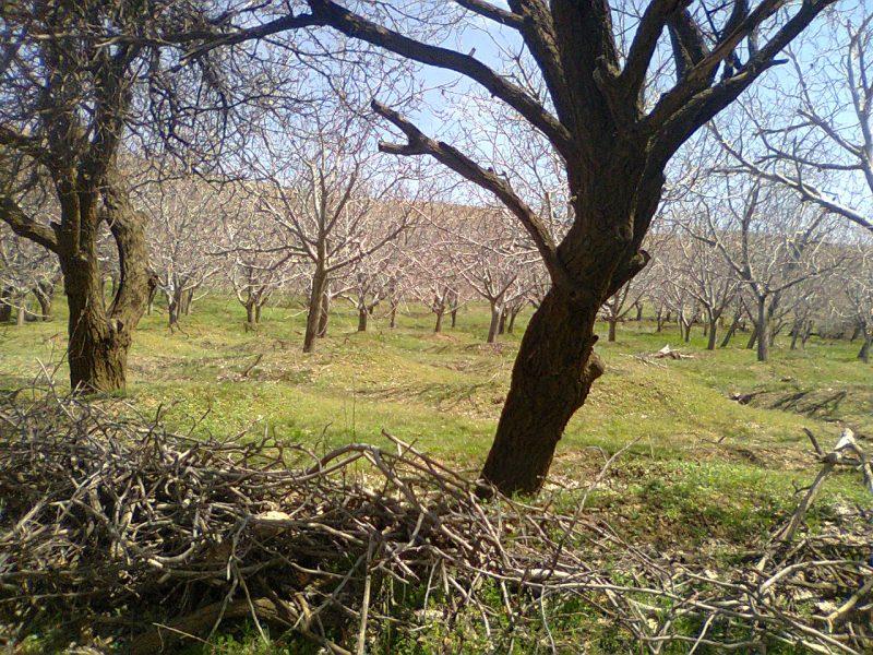 روستای سیراوند-tKny6wyFk6