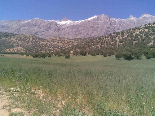 دشتك-tLOZ7cKpCp