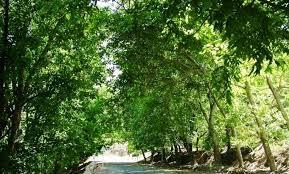 منطقه ییلاقی خلجستان-tQr1KPE8pP